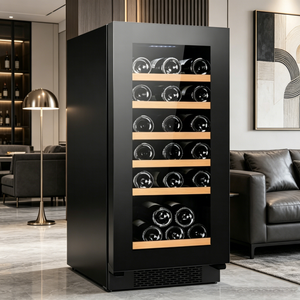 100L Commercial Wine Cooler RC-H100HG